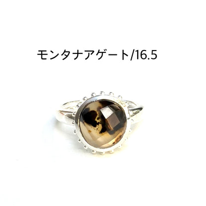 Autumn color 15