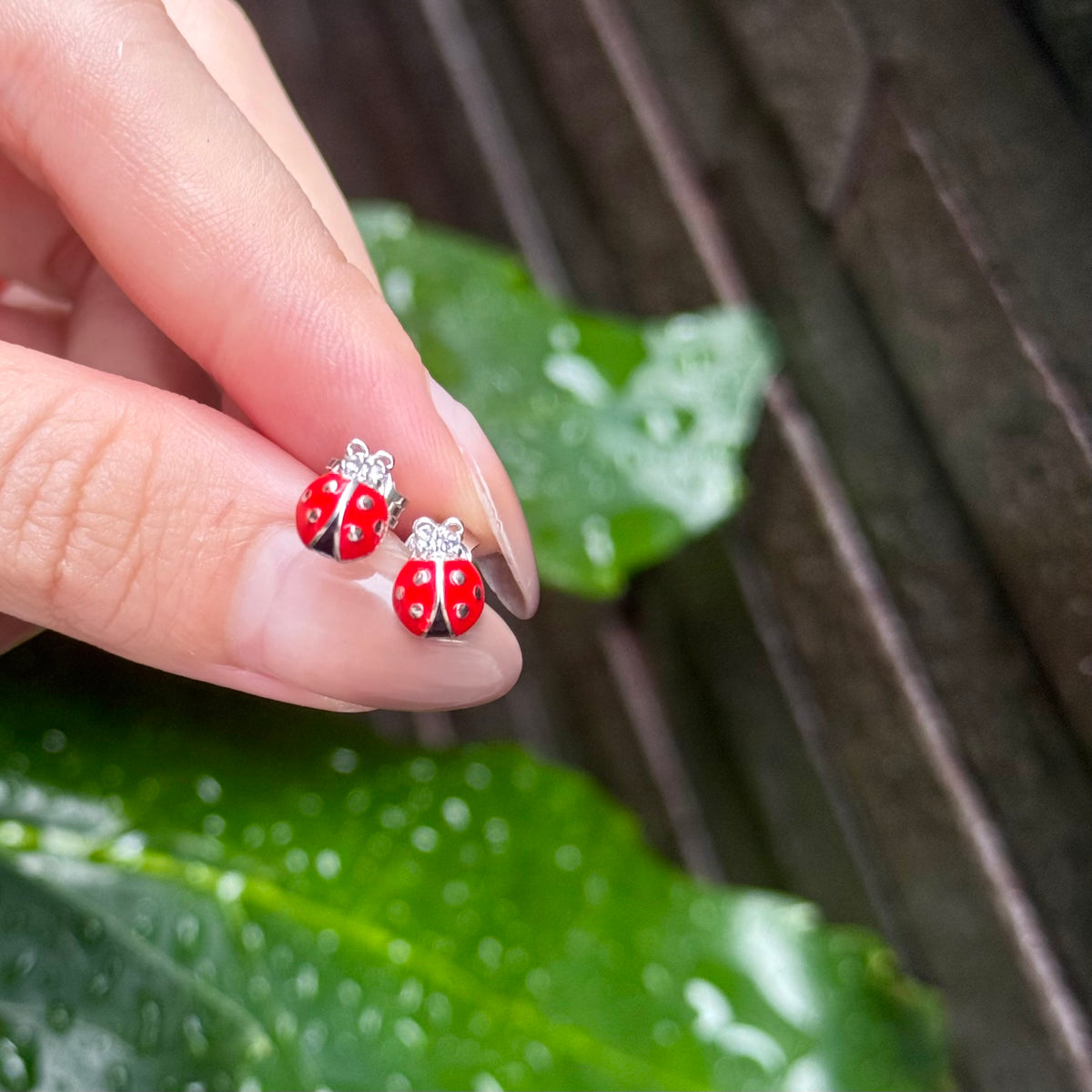 【オンライン先行】Ladybug Pierce 2