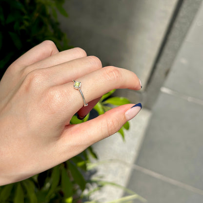 Silver925 petit ring 75
