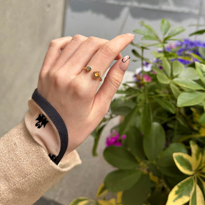 Brass 2stone ring 8