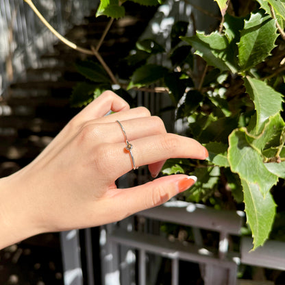 Silver925 petit ring 19