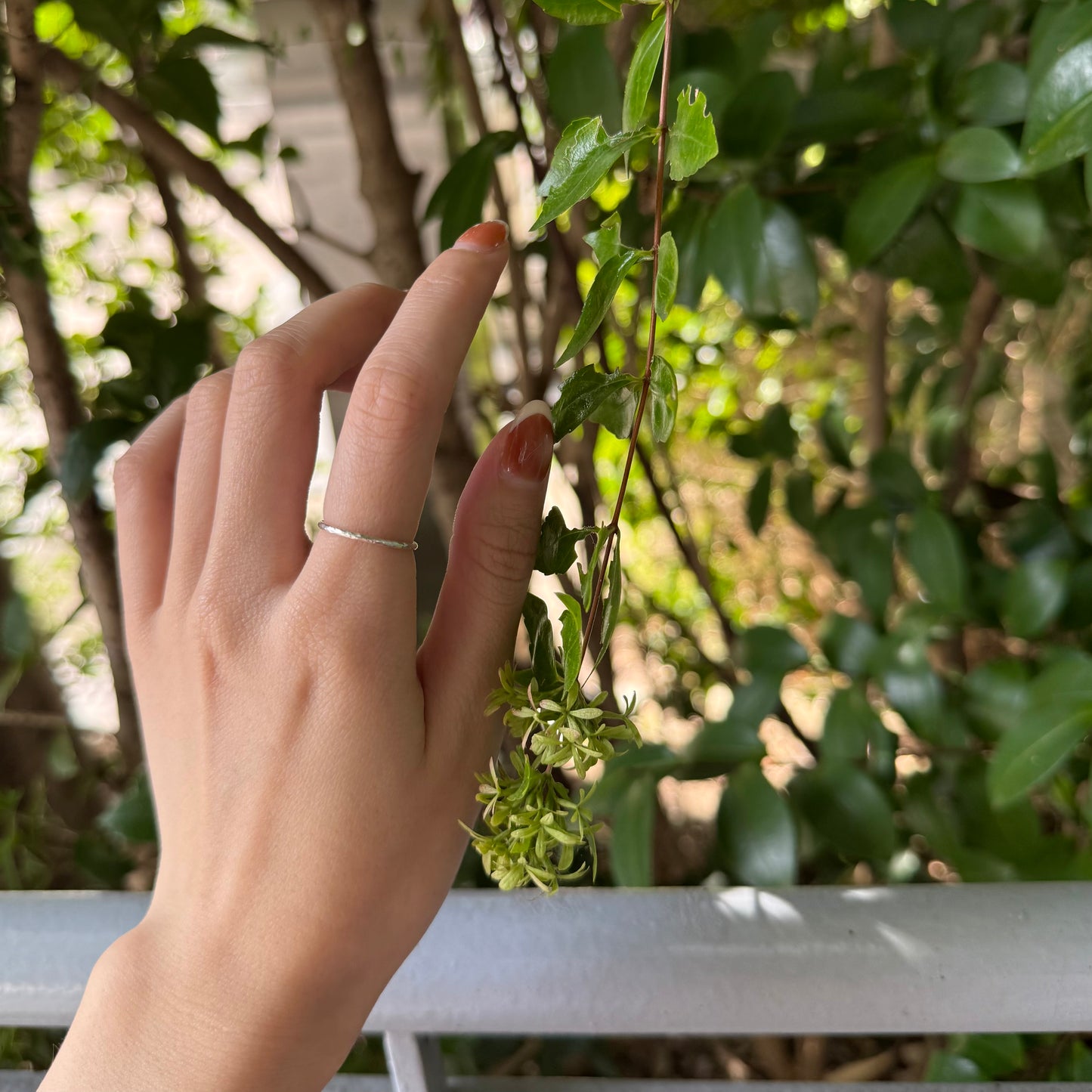 Silver925 plain ring 48