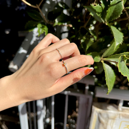 Silver925 petit ring 17