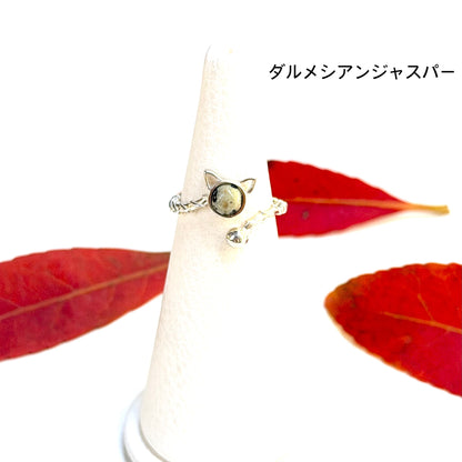 Autumn color 1