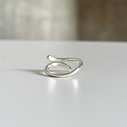 Silver925 plain ring 53